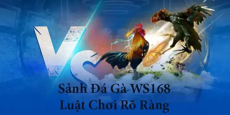 Hướng Dẫn Cách Chơi Đá Gà WS168 Tại Rongho99 Thắng Lớn Mỗi Ngày