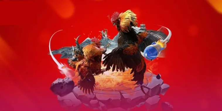 Tổng Quan Về Sảnh Đá Gà Rongho99 Đỉnh Cao Nhất